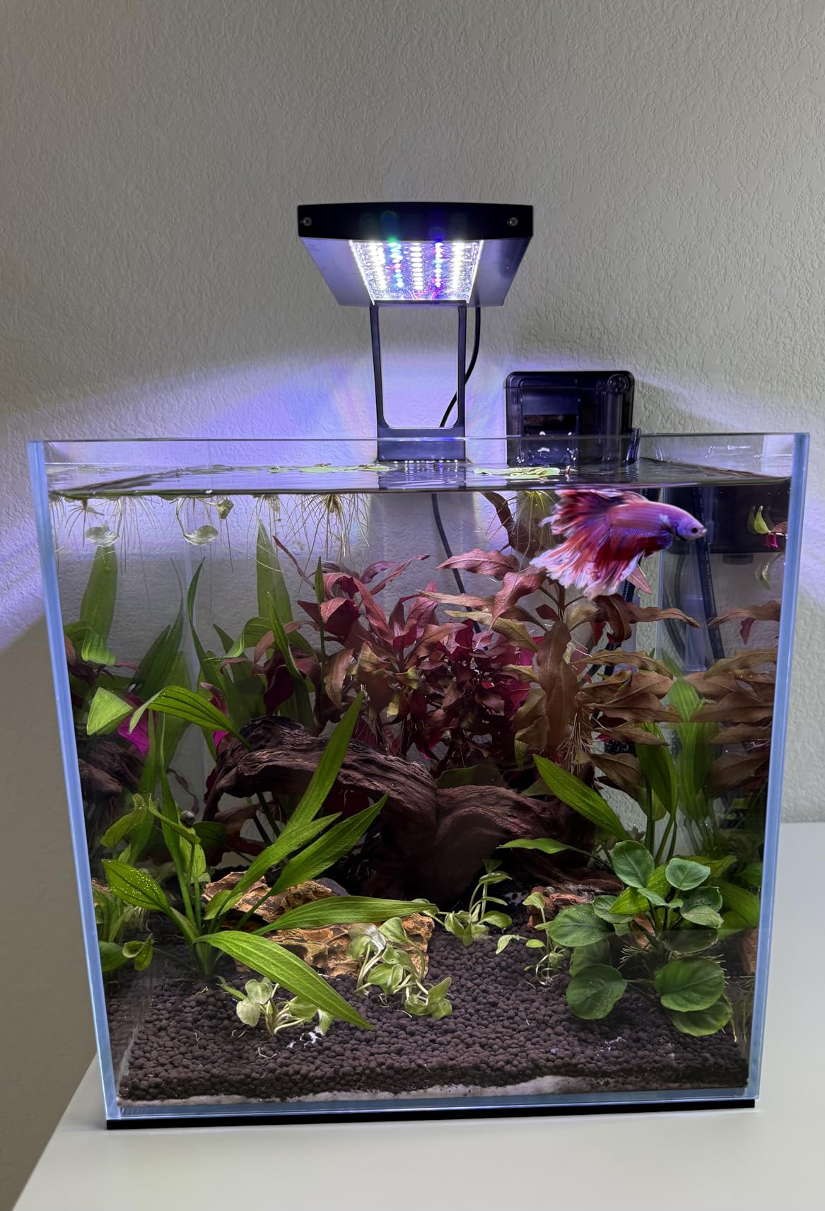 Landen 75H 37 Gallon Rimless Low Iron Aquarium Tank, W29.5 x D17.7 x H17.7 in, 8mm Thickness with Black Nano Foam Leveling Mat Included customer photo 2
