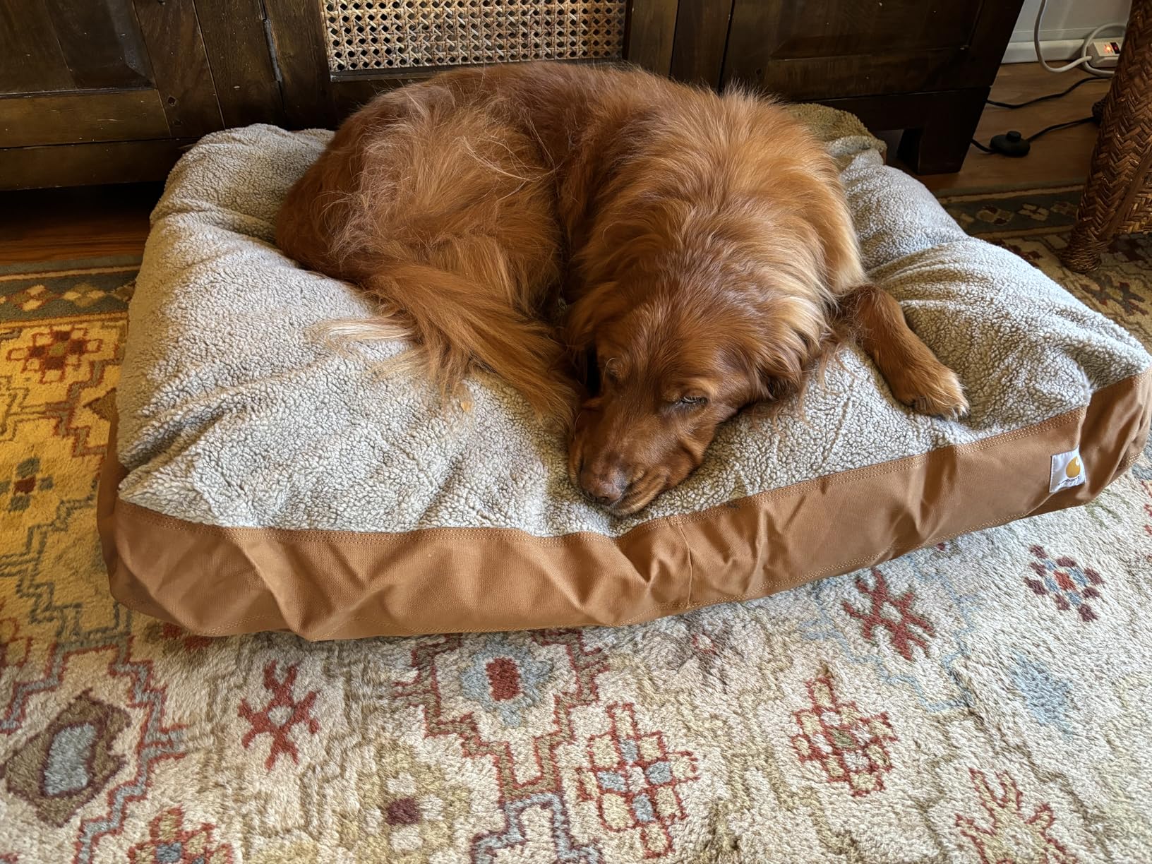 Carhartt Durable Canvas Pet Bed, Water Resistant Firm Duck Dog Bed, Carhartt Brown, Large customer photo 1