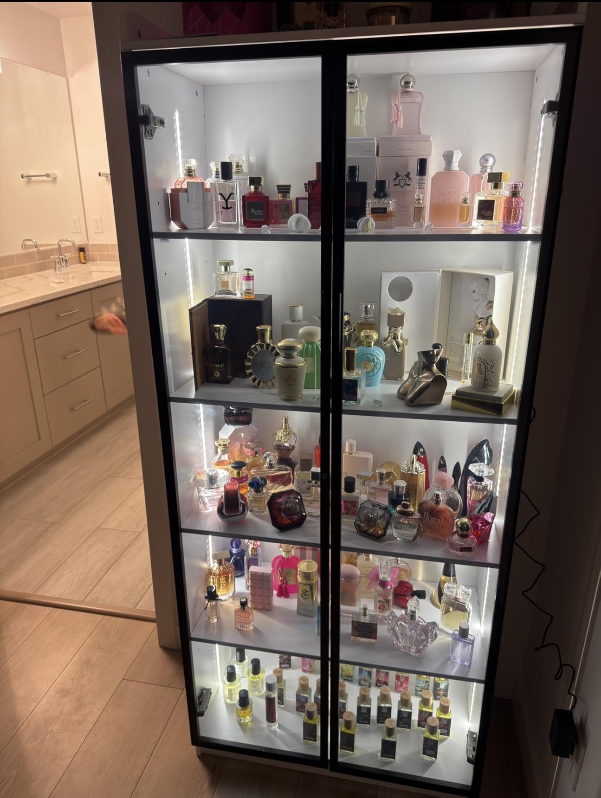 Dystler Display Cabinet with Doors and Adjustable Shelves, 65