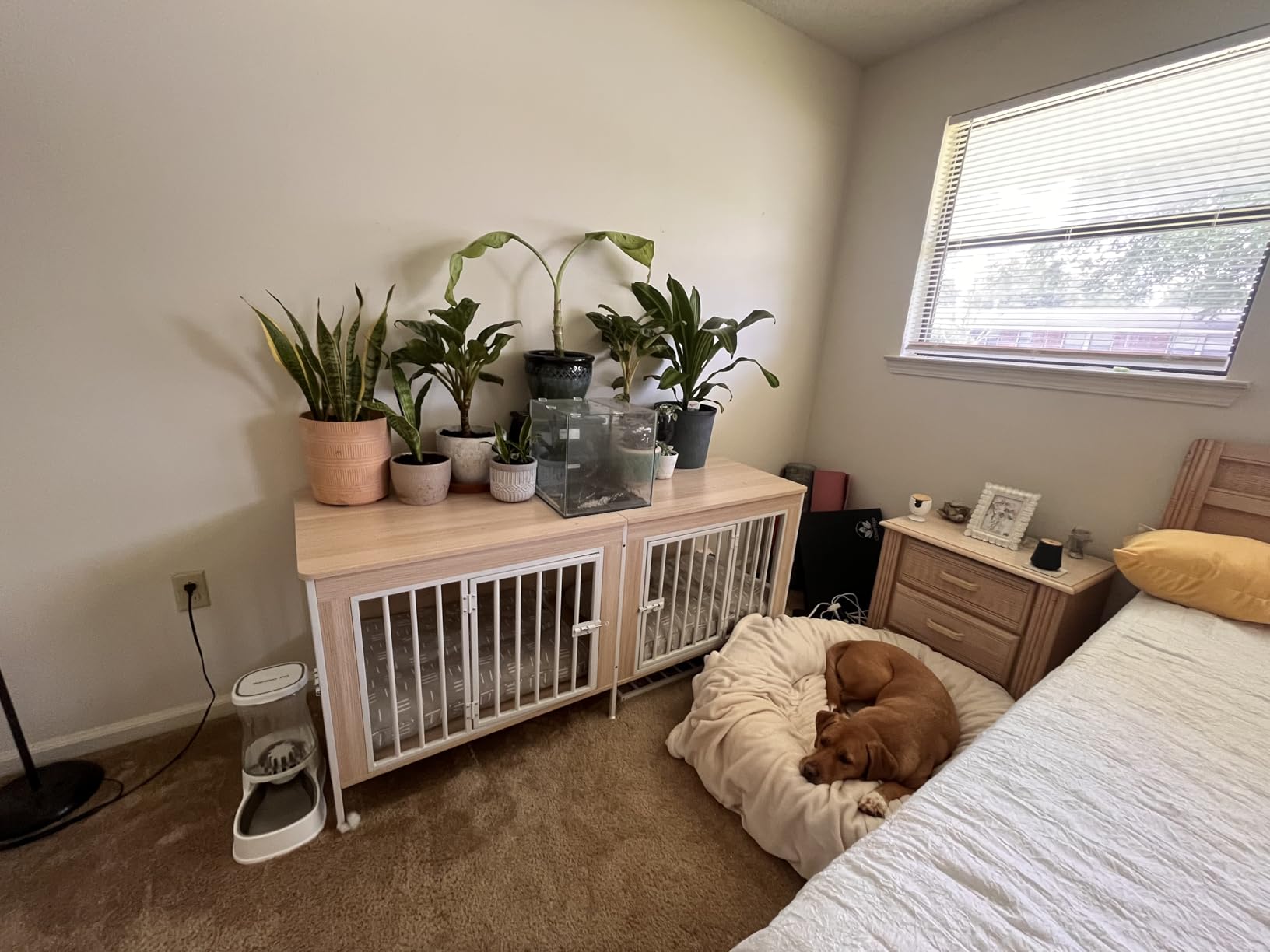 EasyCom Dog Crate Furniture for 1 or 2 Dogs, Heavy Duty Single/Double Dog Crates for Small/Medium/Large Dogs, Dog Kennel Furniture Indoor as TV Stand, Large Size 78.74 L customer photo 1
