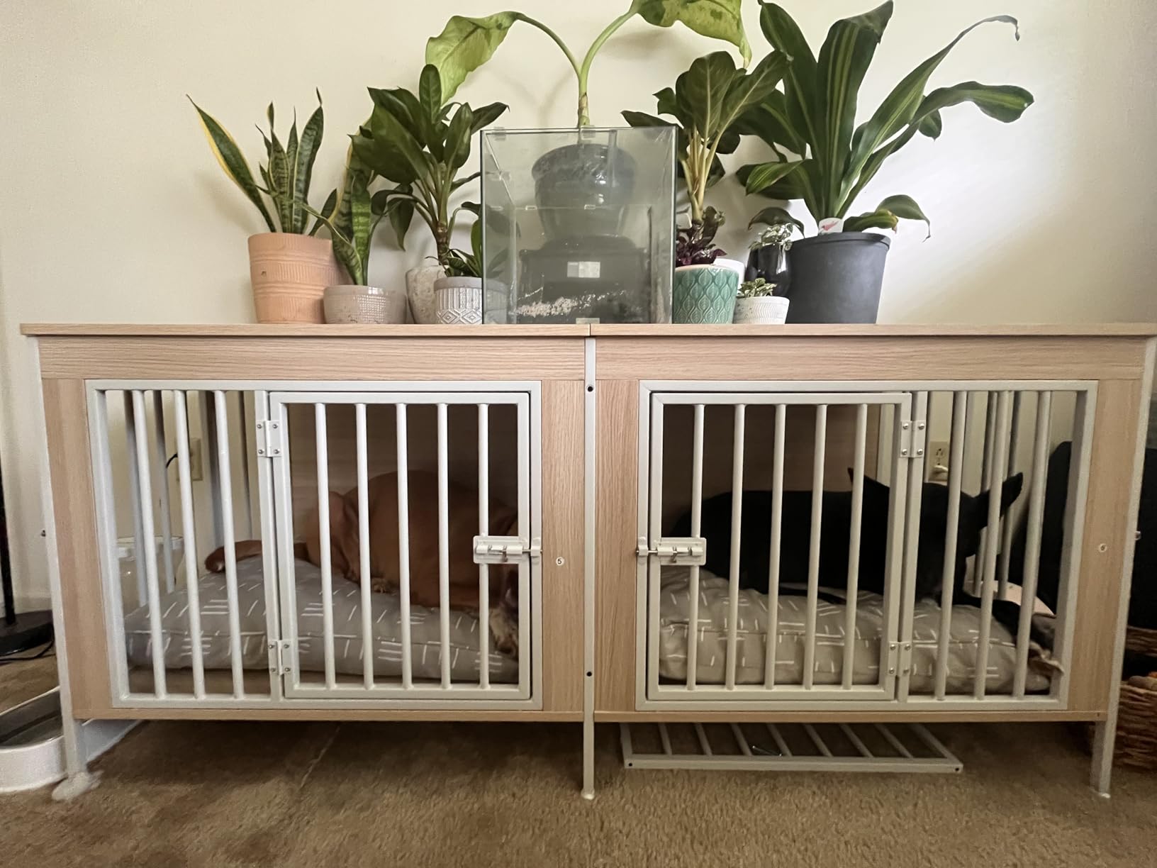 EasyCom Dog Crate Furniture for 1 or 2 Dogs, Heavy Duty Single/Double Dog Crates for Small/Medium/Large Dogs, Dog Kennel Furniture Indoor as TV Stand, Large Size 78.74 L customer photo 2