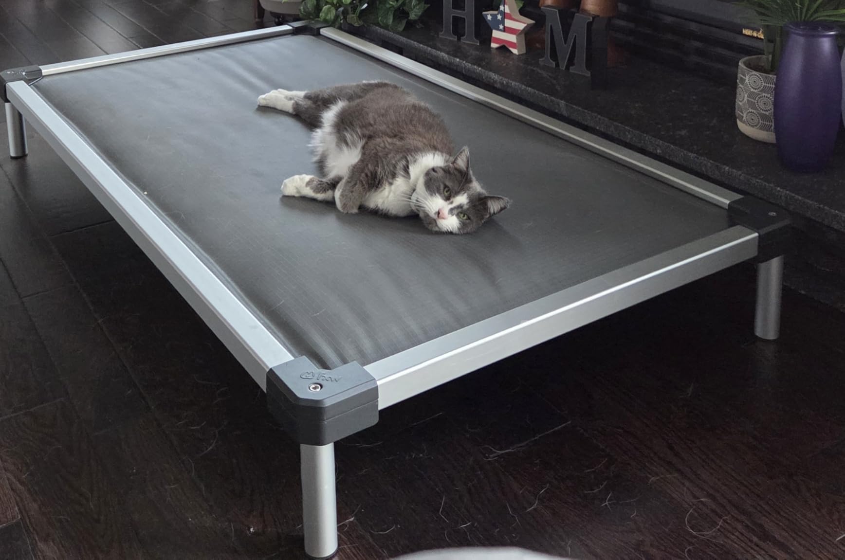 FXW TitanNest Chew-Proof Elevated Dog Bed, Raised Cot for Indoor/Outdoor/Camping Use, Durable & Washable Padded Pet Bed for Extra-Large Dogs, 56.0