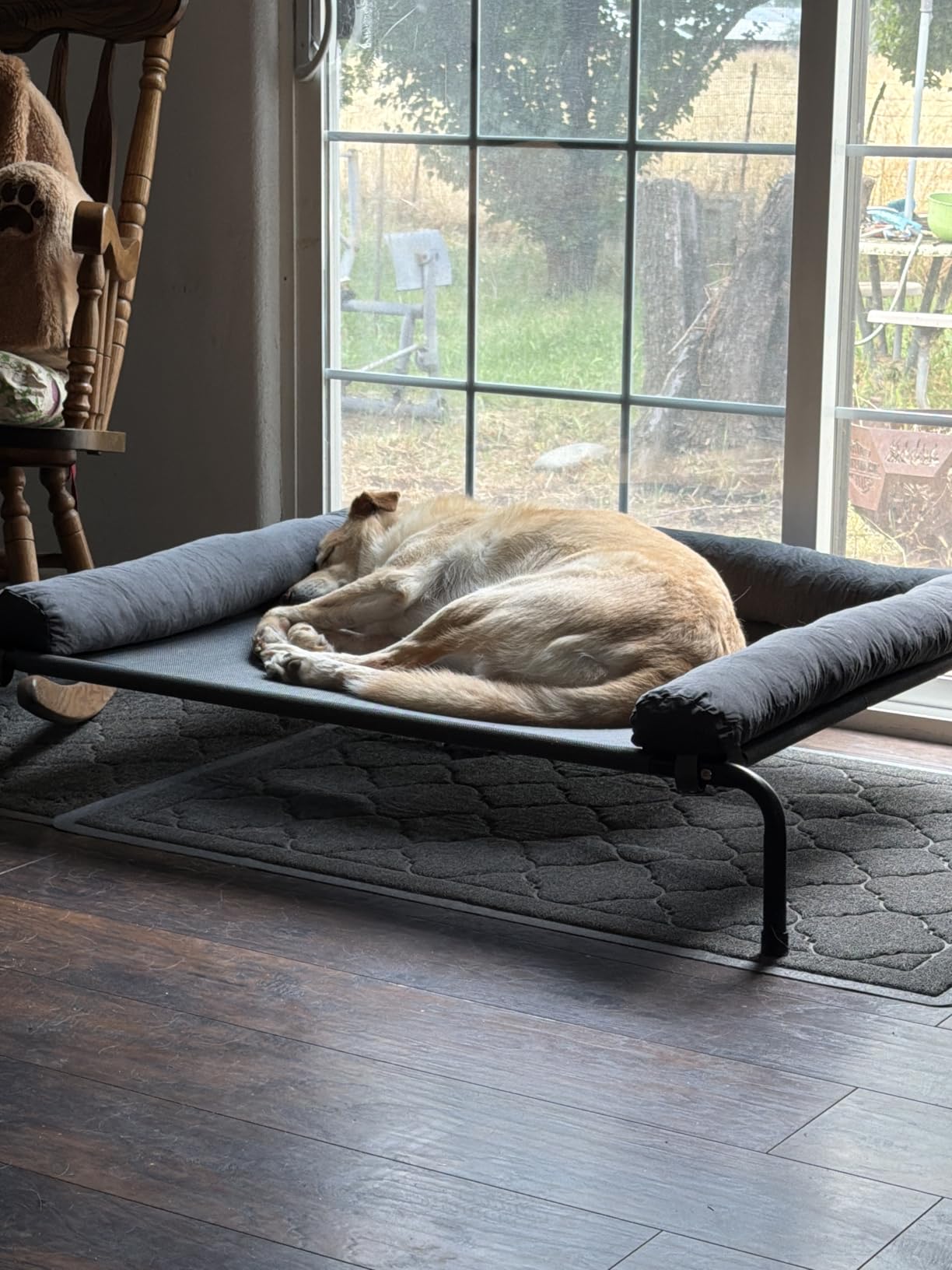 WESTERN HOME Cooling Elevated Dog Bed for Large Dogs, Portable Indoor & Outdoor Raised Dog Bed with Breathable Mesh, Chew Proof Pet Hammock Cots with Removable and Waterproof Bolsters customer photo 1