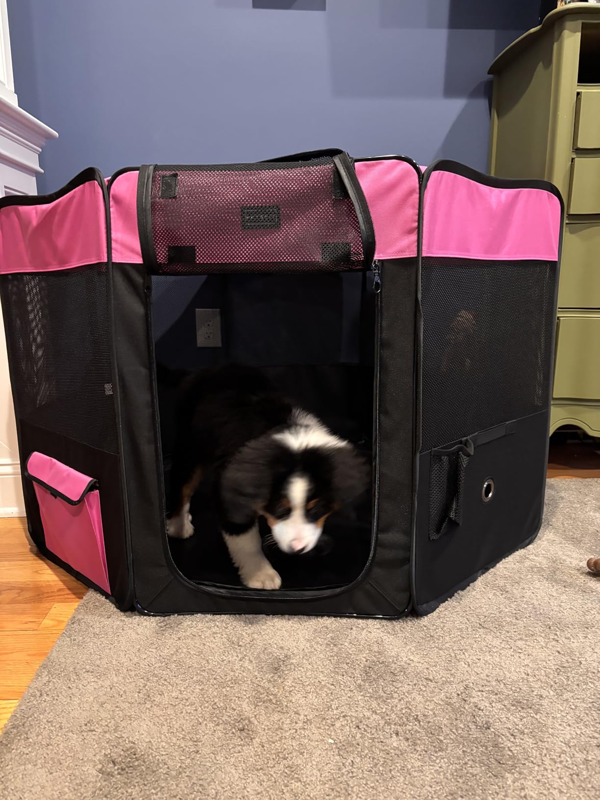 PETSFIT Portable Dog Playpen, 36
