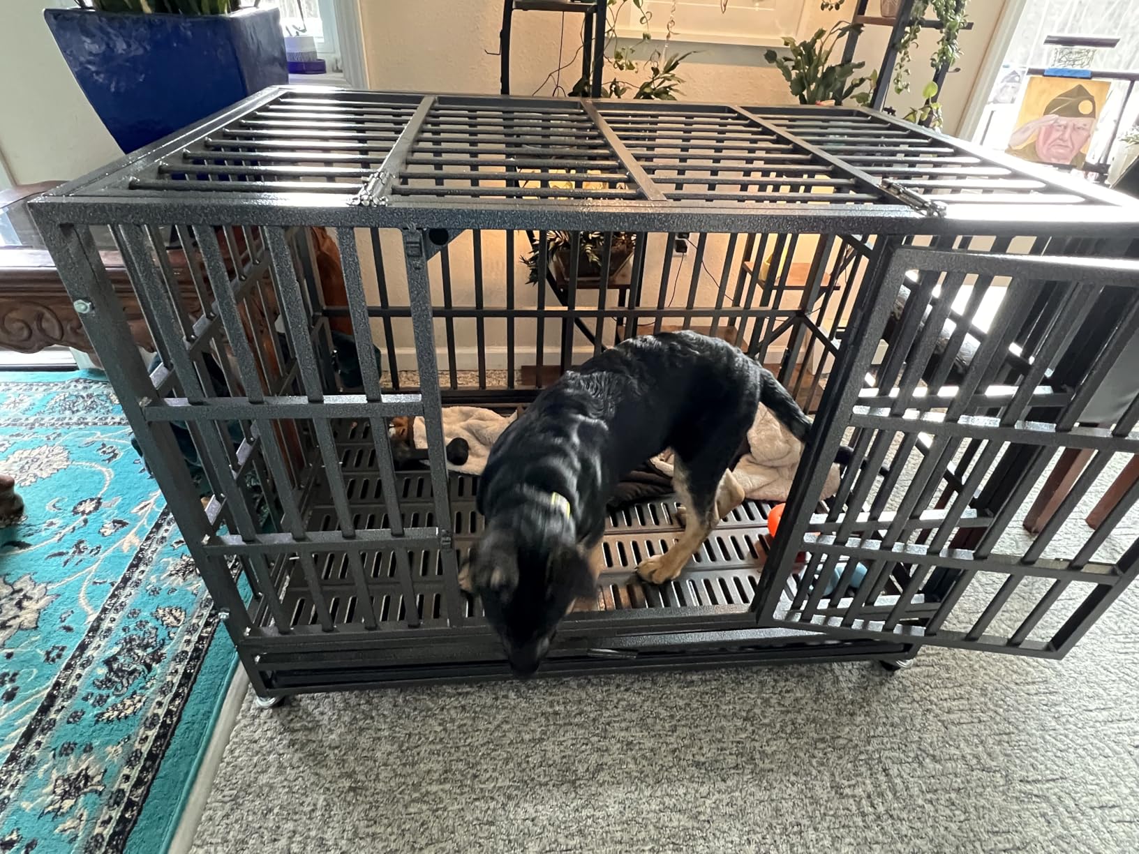 Oranland 48 inch Heavy Duty Indestructible Dog Crate, 2025 New Upgraded Reinforced Baseplate for Large Dogs, XL Dog Crate for High Anxiety Dogs with Double Door and Wheels customer photo 2