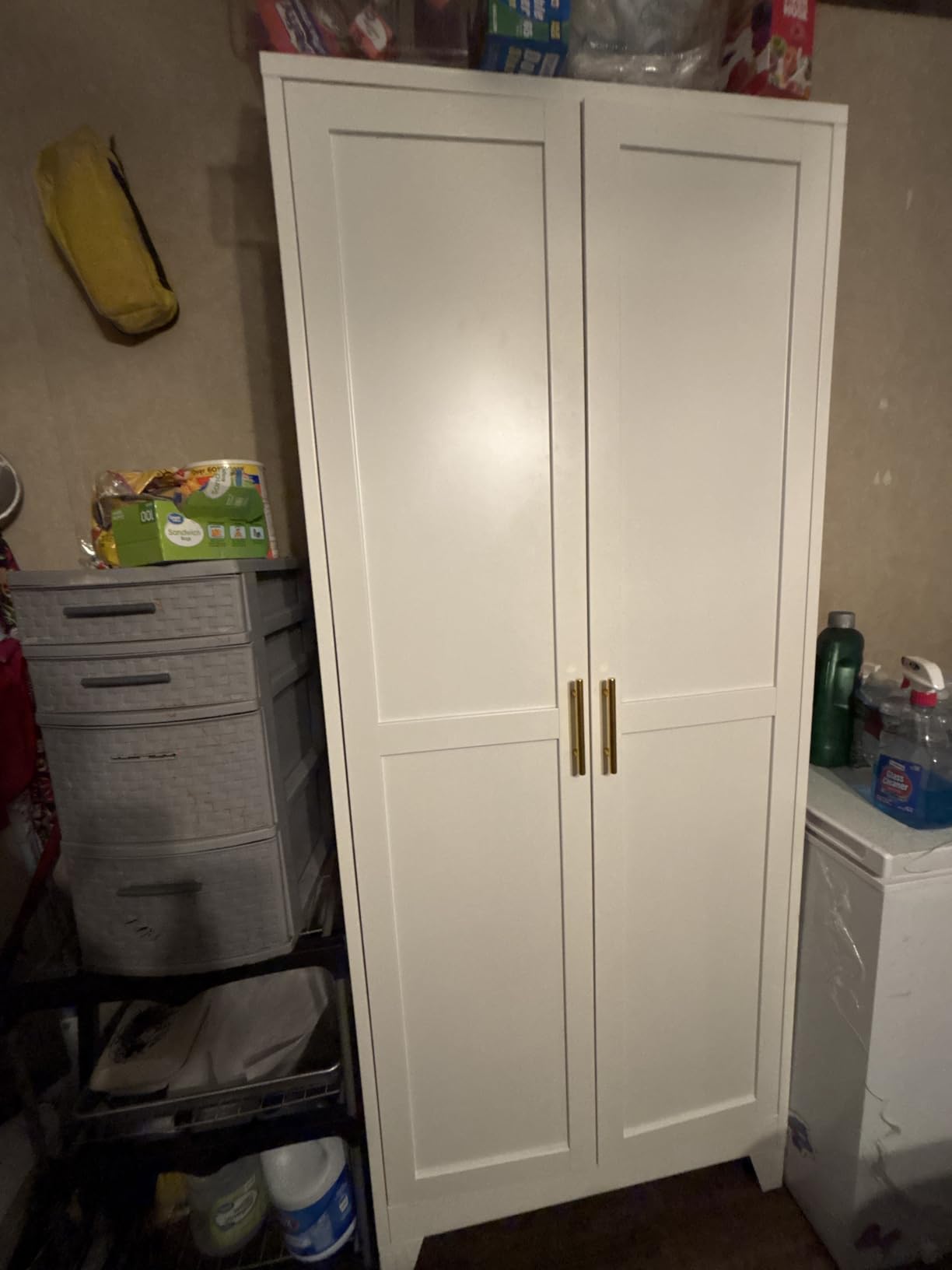 GAIOUS Metal Pantry Cabinet, Kitchen Pantry Storage Cabinets with 2 Door and 3 Adjustable Shelves, White Kitchen Pantry Cabinet, Freestanding Cupboard for Dining Room Living Room Bathroom customer photo 2