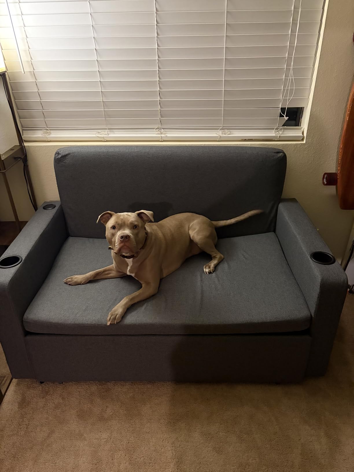 Krcix 3 in 1 Sofa Bed, 56 Inch Convertible Pull Out Couch, Loveseat Sleeper Sofa with Cup Holders, USB customer photo 1