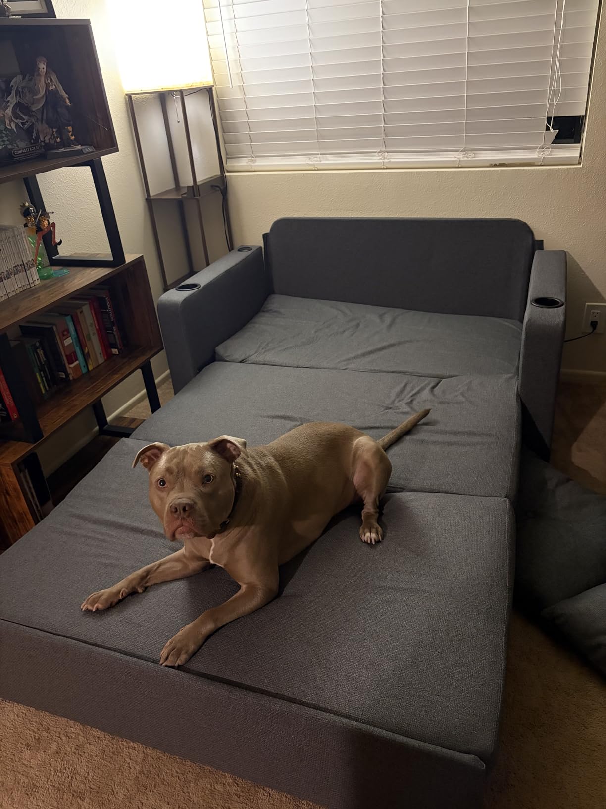 Krcix 3 in 1 Sofa Bed, 56 Inch Convertible Pull Out Couch, Loveseat Sleeper Sofa with Cup Holders, USB customer photo 2