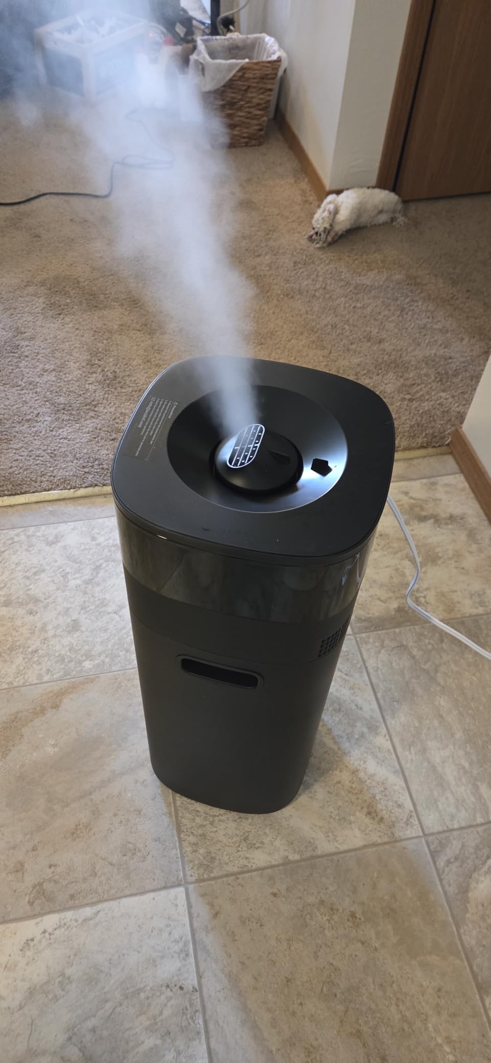 Humidifier Large Room, 5.3Gal/20L Humidifiers for Home 2500 sq ft, Cool Mist Whole House Humidifiers with Diffuser Extended Tube, Top Fill customer photo 1