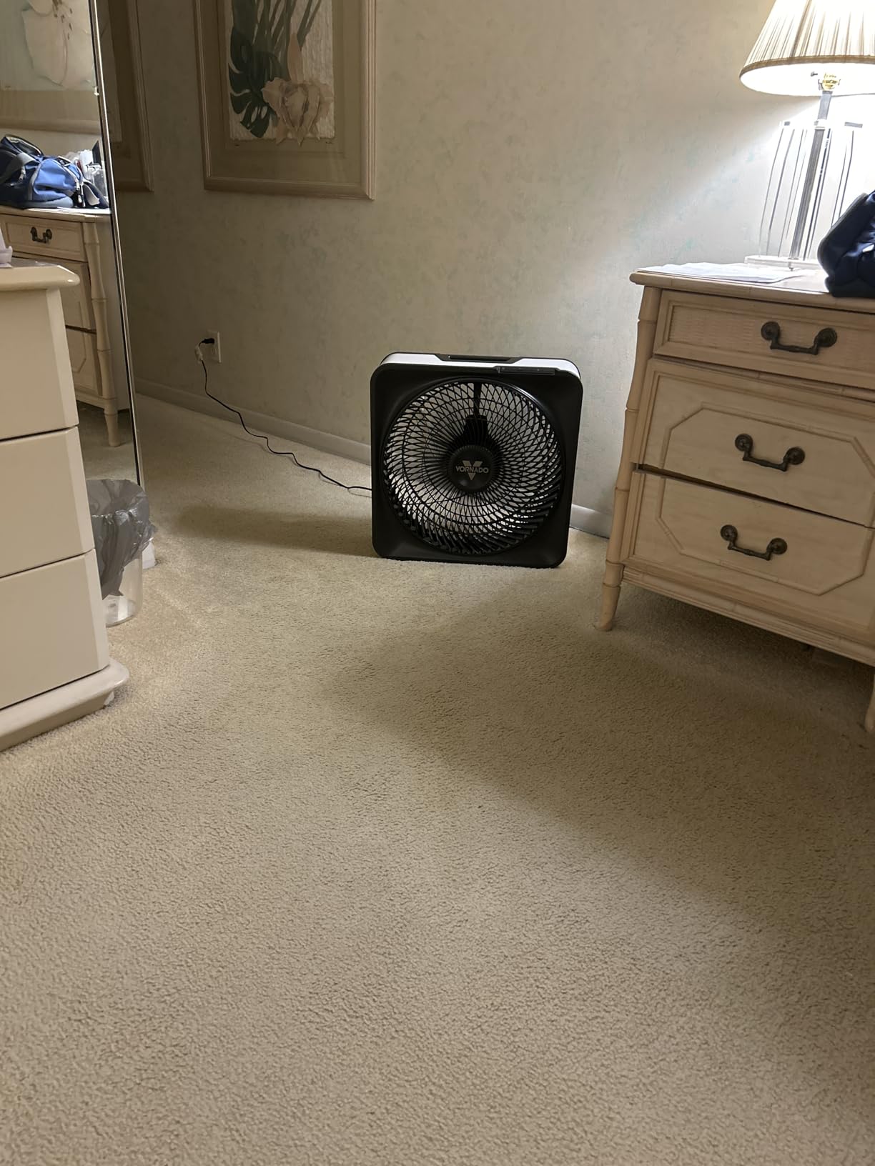 Vornado Model 80 High Velocity Electric Box Fan with Removable Grille, 5 Speed Settings, Powerful Airflow, Whole Room Air Circulation, Targeted Cooling, Cord Storage, Durable Floor Fan, Ice White customer photo 1