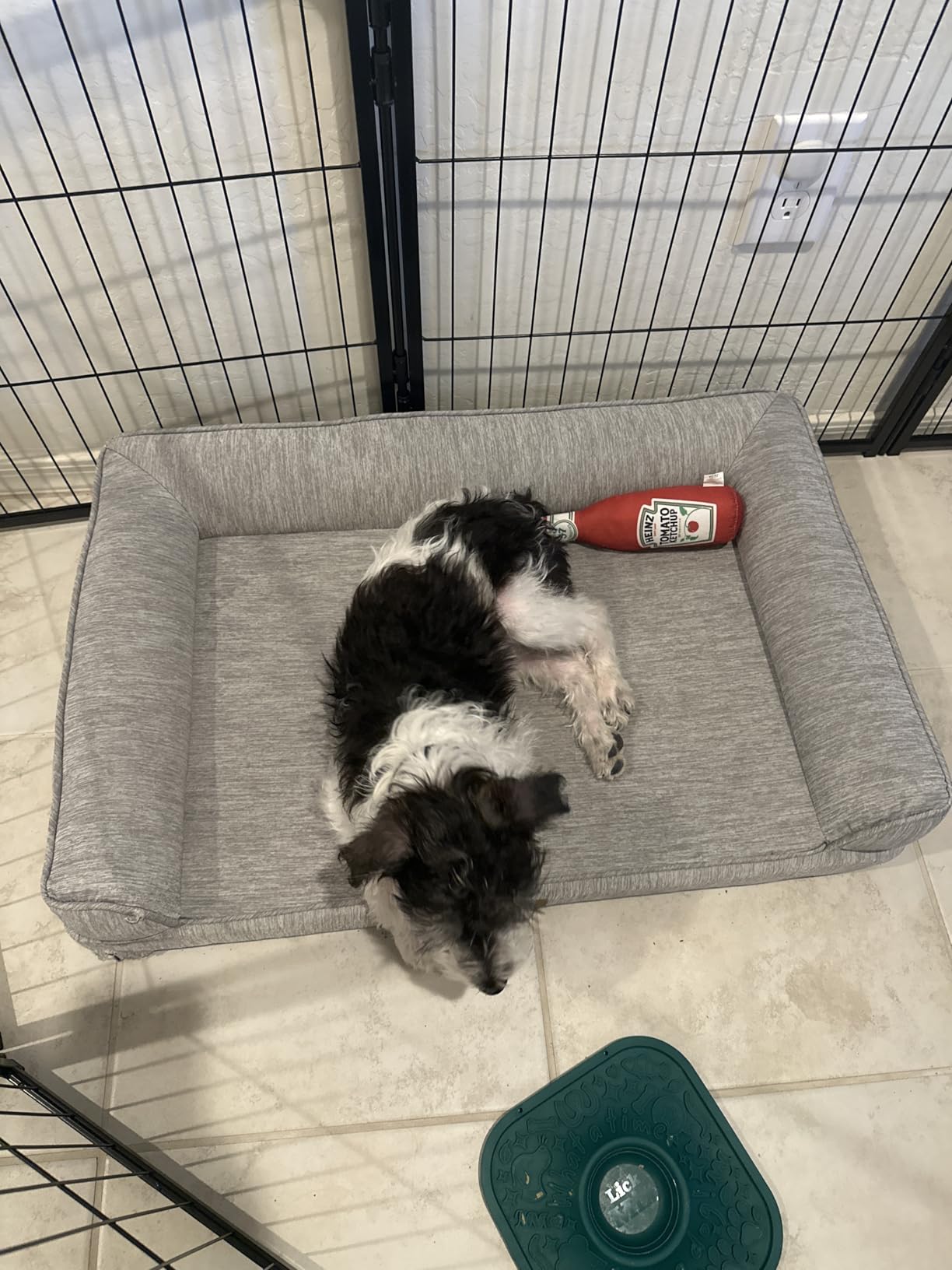 COZY KISS Cooling Dog Bed for Summer, Orthopedic Foam Dog Bed with Sides, Removable Washable Cover & Waterproof Lining, Q-Max >0.4 Cool Pet Beds for Extra Large Dogs, Grey (48″ L x 32″ W x 7.5″ Th) customer photo 1″ class=”wp-image-customer”/></figure>


<p>The sides of the bed work as built-in pillows, giving your dog a natural place to rest their head. The non-slip bottom uses rubber anti-slip particles that grip well on smooth floors. The removable cover is machine washable and held up well through multiple wash cycles in my testing.</p>

<p>One thing to be aware of is the firmness level. The egg crate foam on a firm base may be too hard for very thin dogs like Greyhounds or Whippets that lack natural padding. For average to stocky builds, the firmness provides excellent joint support.</p>


<figure class=