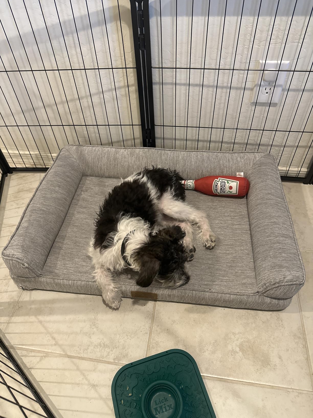 COZY KISS Cooling Dog Bed for Summer, Orthopedic Foam Dog Bed with Sides, Removable Washable Cover & Waterproof Lining, Q-Max >0.4 Cool Pet Beds for Extra Large Dogs, Grey (48″ L x 32″ W x 7.5″ Th) customer photo 2″ class=”wp-image-customer”/></figure>


<h3><span class=