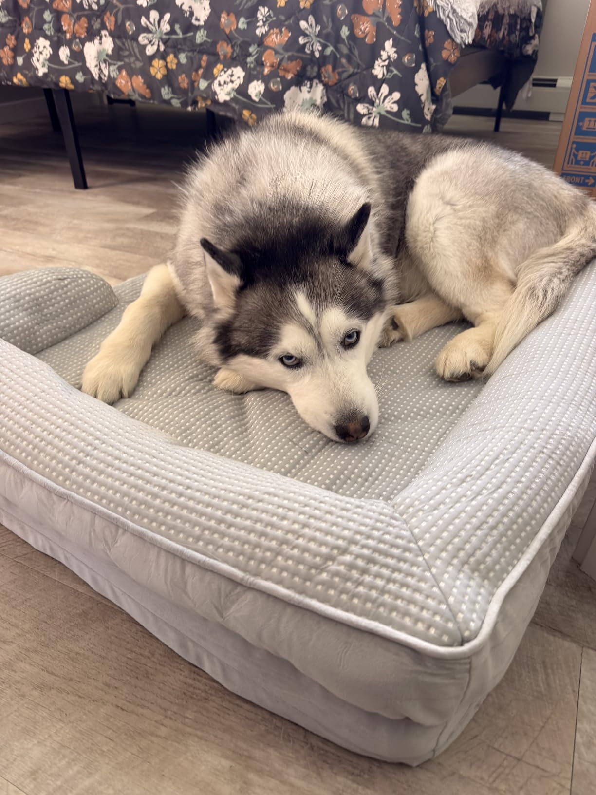 Bedsure Cooling Dog Beds Large Sized Dog - Orthopedic Large Dog Cooling Bed Washable, Dogs Couch Sofa with Waterproof Removable Cover, Pet Bed with Nonskid Bottom, Cooling Grey, 35