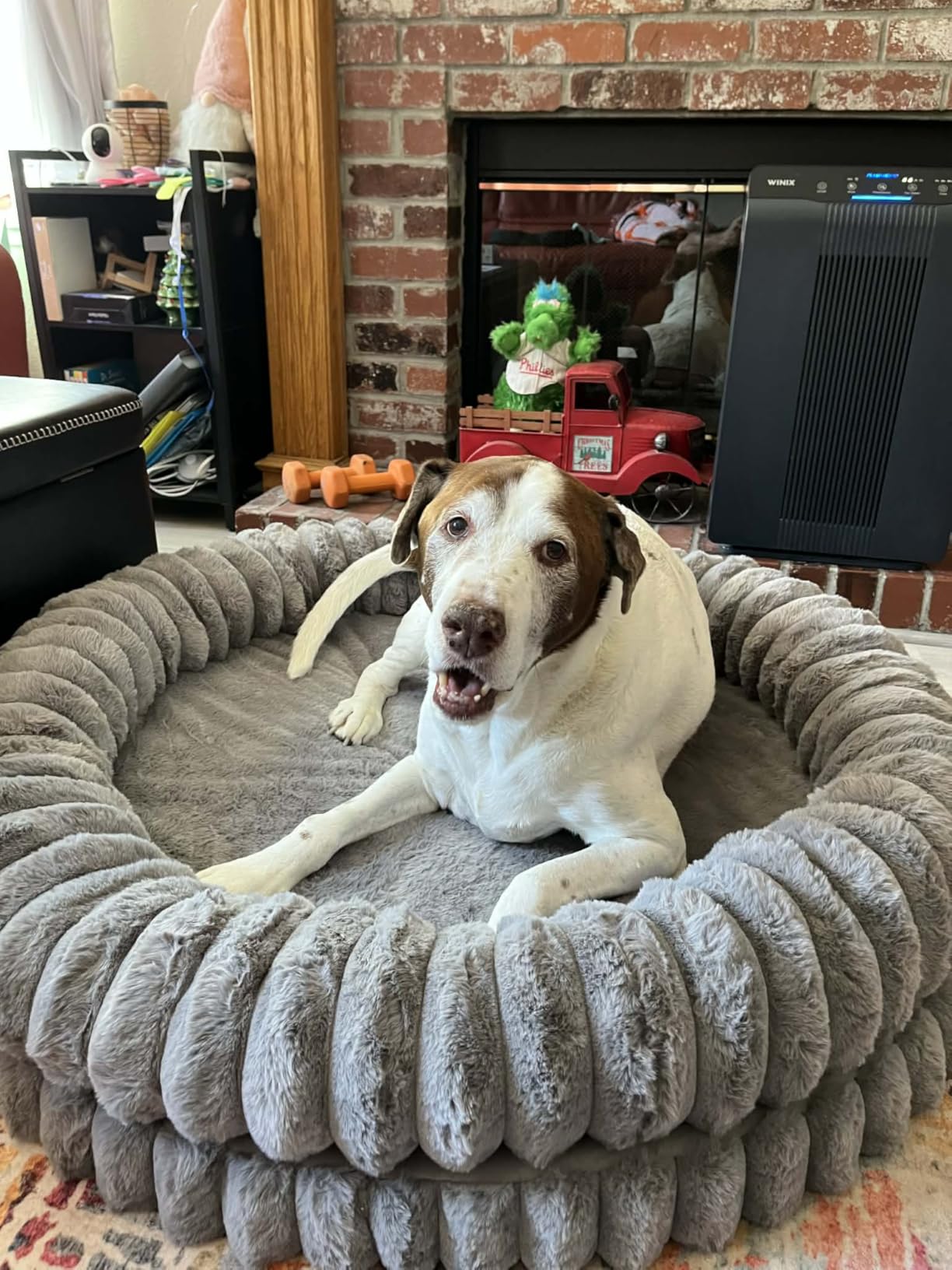 BALANCE Luxury Donut Dog Bed, 30 Inches Round Dog Bed Medium Size Dogs Washable, Orthopedic Calming Dogs Bed for Pets with Anti-Slip Bottom, Oatmeal customer photo 1