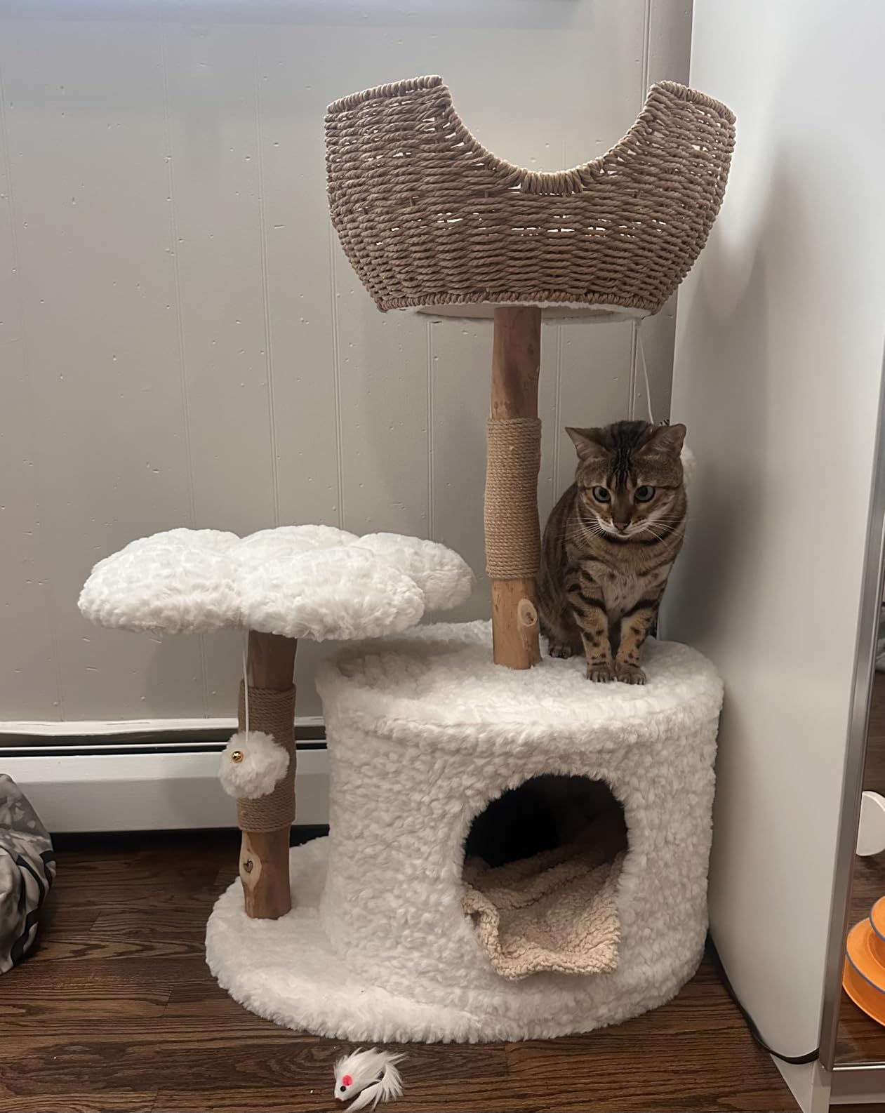 Easyego Modern Cat Tree, 40.5