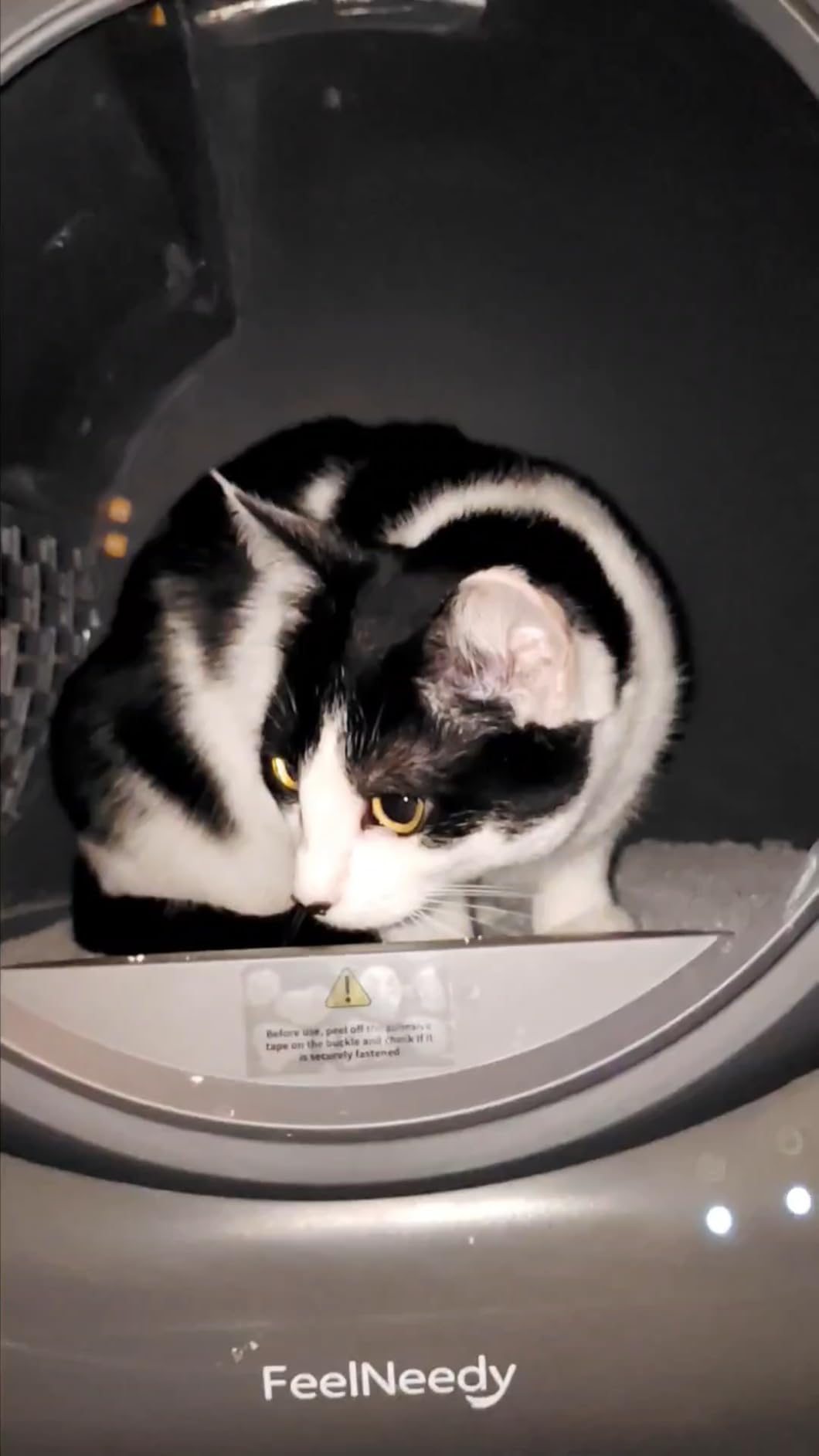 Self Cleaning Litter Box, Automatic Litter Box, FEELNEEDY Odor Control Robot, Cat Ears Design, 65L APP Real-Time Monitor, Cat Litter-Boxs for Multiple Cats, Safety Sensors, with 1 Trash Bag customer photo 2