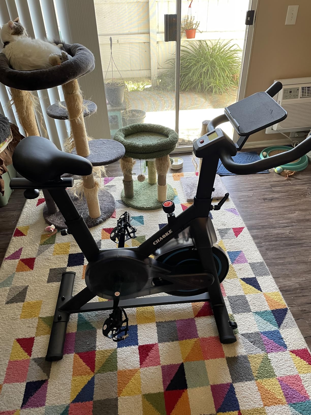 Exercise Bike, CHAOKE Quiet Adjustable Magnetic Resistance Stationary Bike for Home Cardio with App Compatible, 300LB Weight Capacity Indoor Cycling Bike with Comfortable Seat & Digital Display customer photo 1