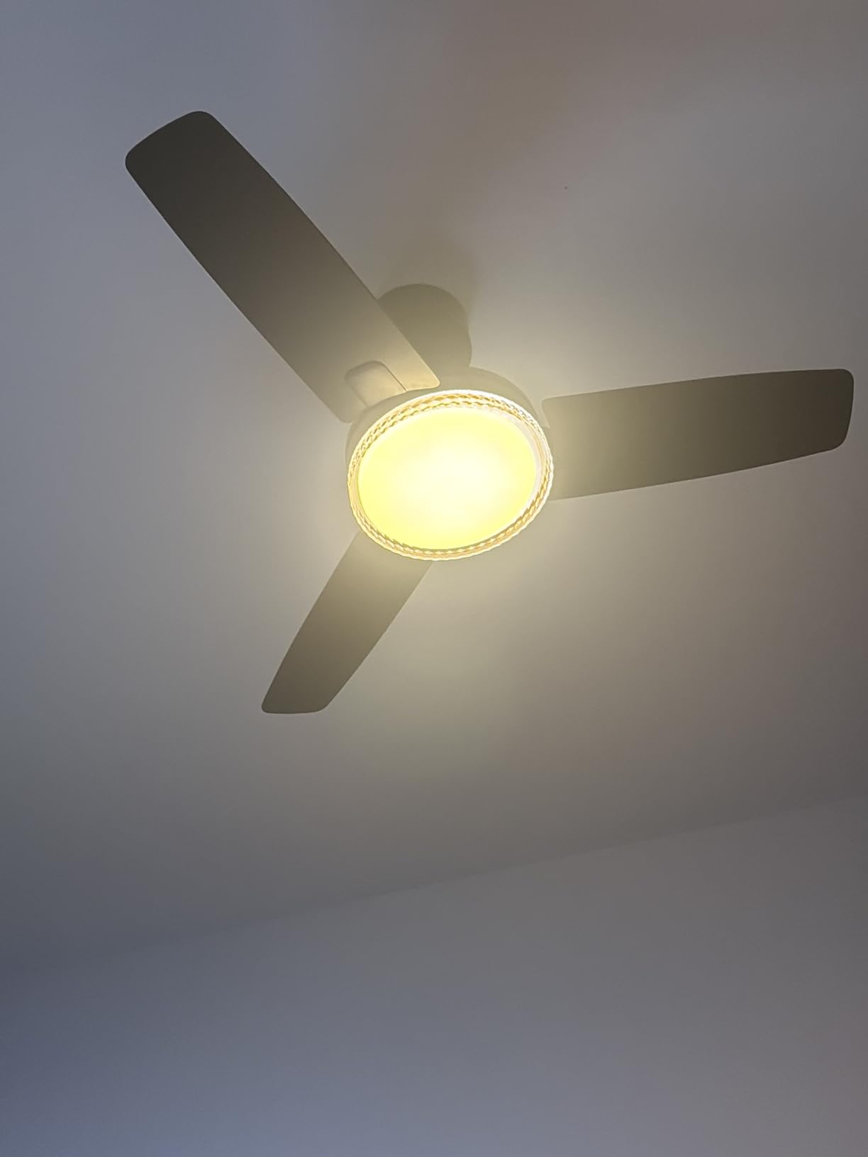 Dreo 52 Inch Black Smart Ceiling Fan with Wall Switch Control customer photo 2