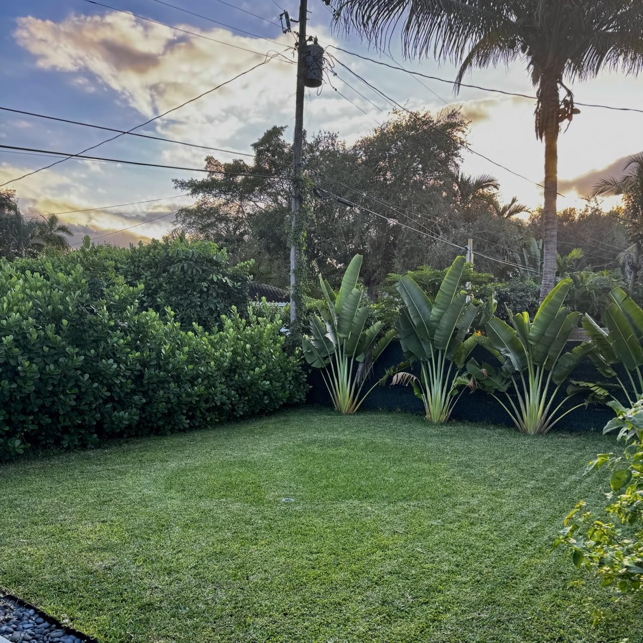 Mammotion LUBA mini AWD 800H Robot Lawn Mower, for 0.2 Acres, All-Wheel-Drive for 80% Slope, No Wire, No RTK Installation, Free NetRTK+AI Vision Positioning, Cutting Height 2.2-4.0 customer photo 2