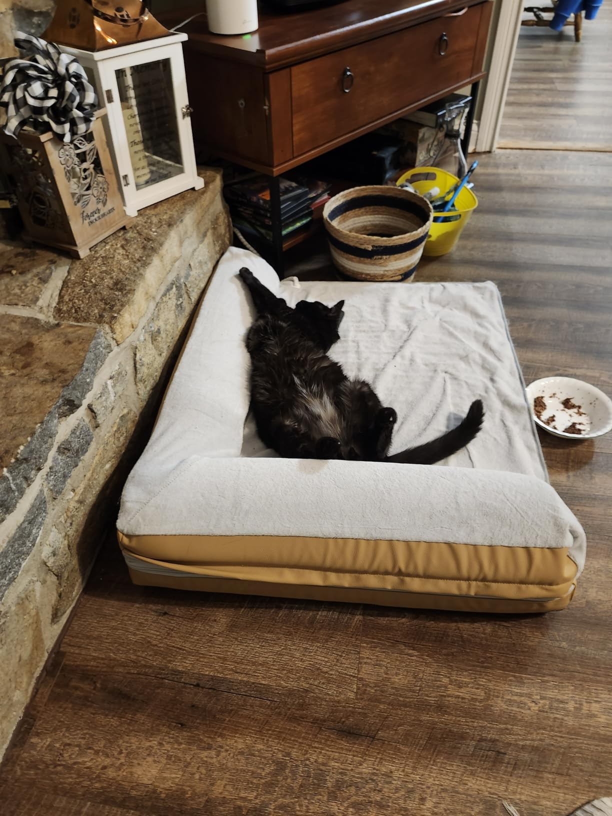 Heated Dog Bed Large Sized Dog, Heated Pet Bed for Large Dogs, Waterproof Couch Memory Foam Dog Sofa Bed with Pet Heating Pad - 35x27.95x6.3in customer photo 1