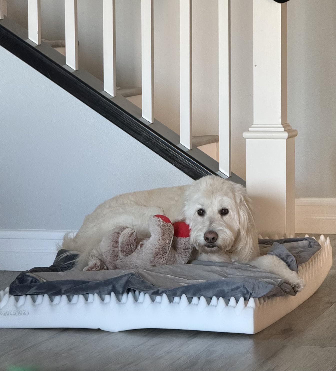 OhGeni Orthopedic Waterproof Dog Bed for Extra Large Dogs, Machine-Washable Removable Cover in Easy-Clean Fabric, High Density Foam & Easy-Carry Handle, Suitable for Crate, 41 inch (Gray) customer photo 1