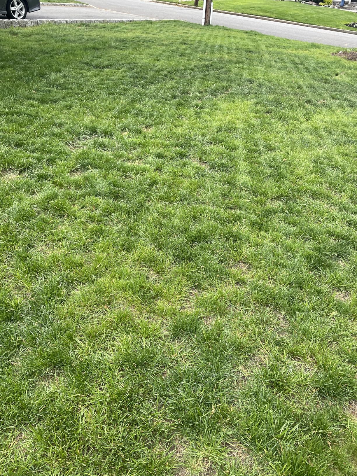 ECOVACS Goat O1000 RTK Care Robotic Lawn Mower with RTK Precision Navigation, No Perimeter Wire, Smart App Control, Auto Mapping, Multi-Zone Management - Includes 36 Extra Blades customer photo 1