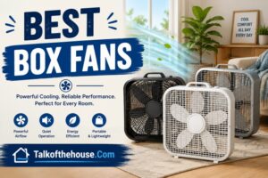 Best Box Fans