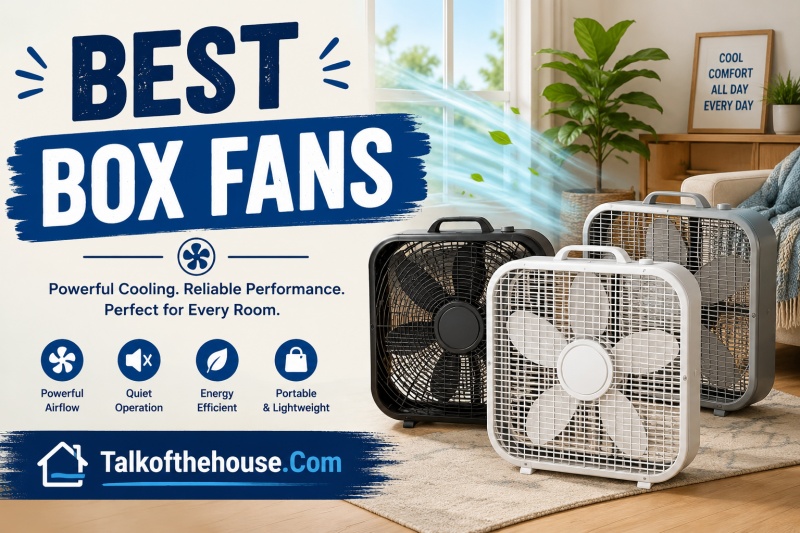 Best Box Fans