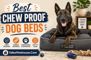 Best Chew Proof Dog Beds