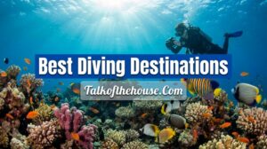 Best Diving Destinations