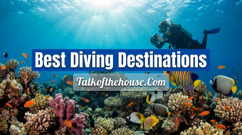 Best Diving Destinations