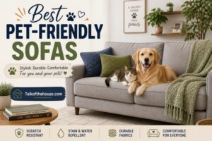 Best Pet-Friendly Sofas