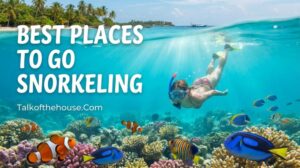 Best Places to Go Snorkeling