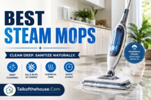 Best Steam Mops