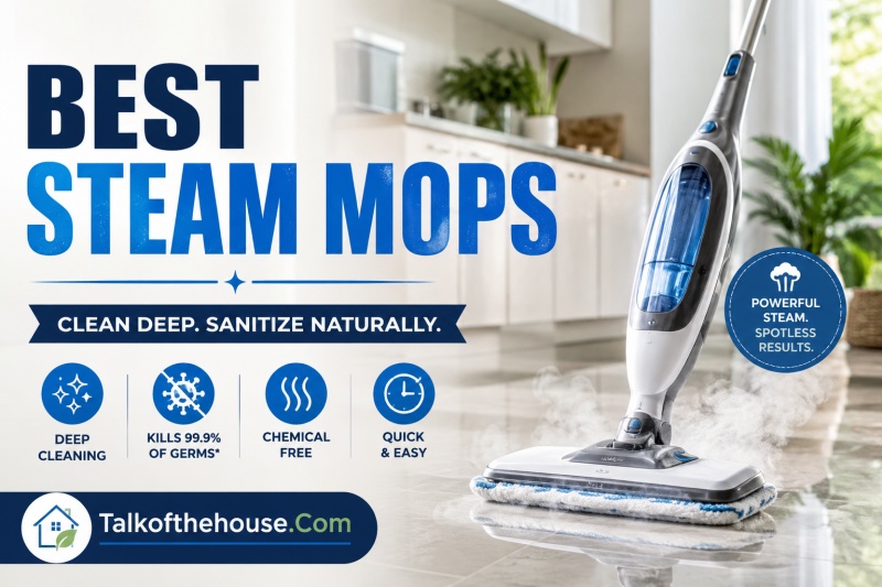 Best Steam Mops