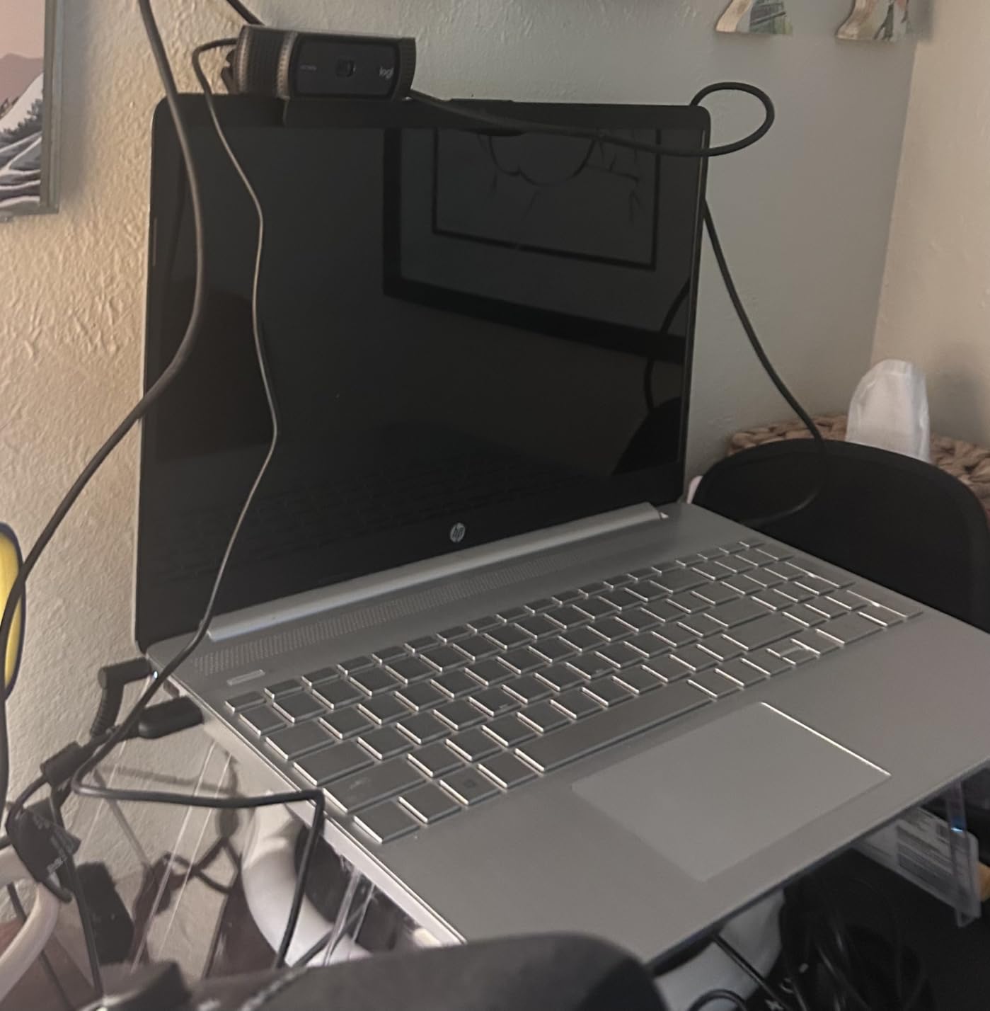 Logitech C920x Webcam customer photo 2