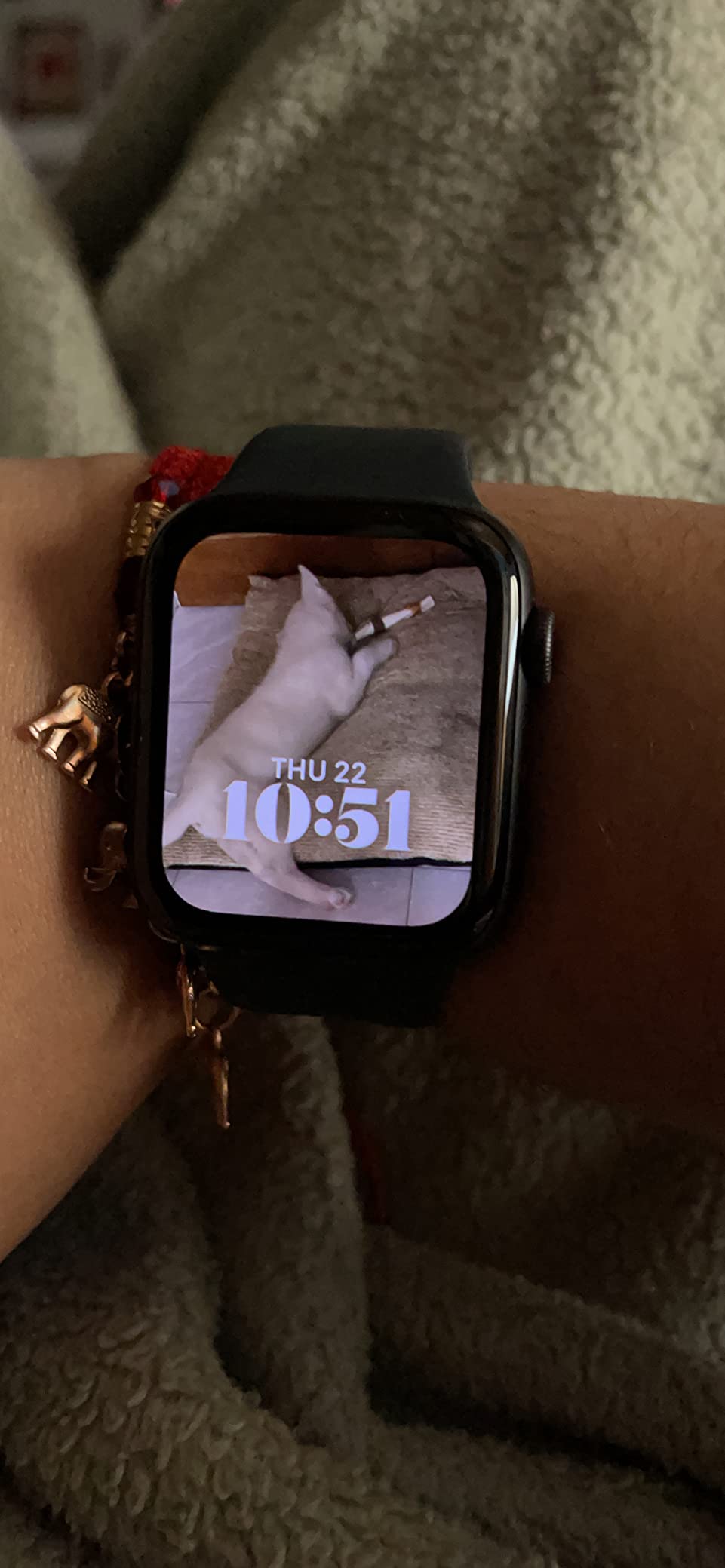 Apple Watch SE (GPS, 44mm) - Space Gray Aluminum Case with Midnight Sport Band (Renewed) customer photo 1