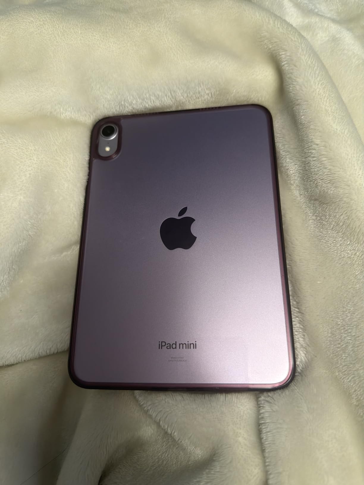 Apple iPad mini (A17 Pro): Apple Intelligence, 8.3-inch Liquid Retina Display, 128GB, Wi-Fi 6E, 12MP Front/12MP Back Camera, Touch ID, All-Day Battery Life - Space Gray customer photo 1