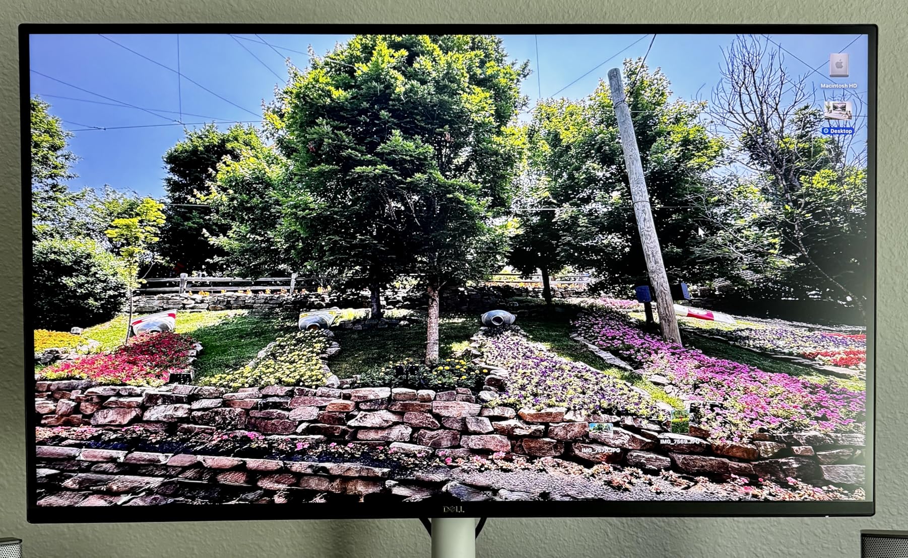 Dell 27 Plus 4K Monitor - S2725QS - 27-inch 4K (3840 x 2160) 120Hz IPS Display, AMD FreeSync Premium, sRGB 99% customer photo 1
