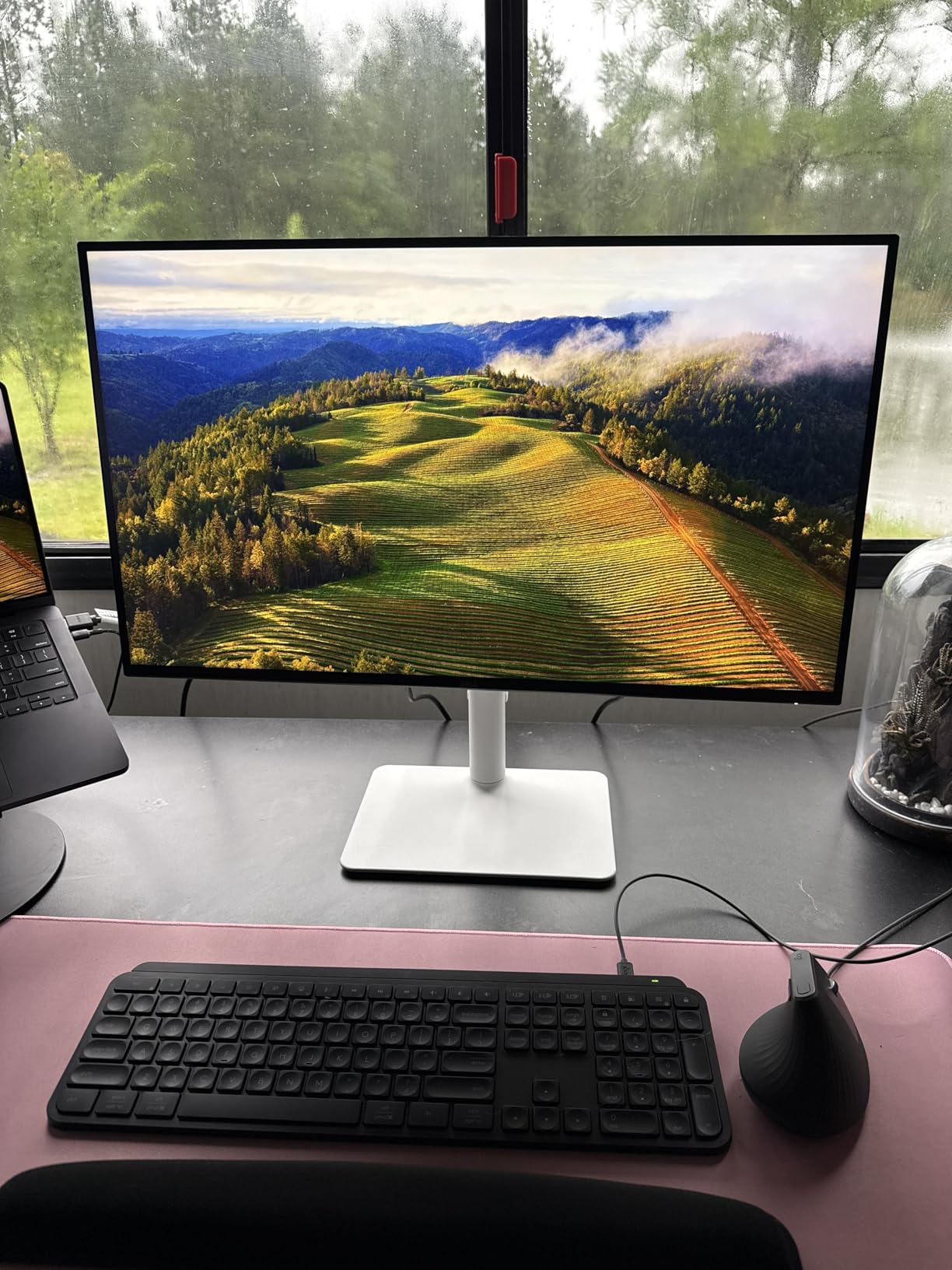 Dell 27 Plus 4K Monitor - S2725QS - 27-inch 4K (3840 x 2160) 120Hz IPS Display, AMD FreeSync Premium, sRGB 99% customer photo 2
