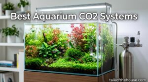 Best Aquarium CO2 Systems