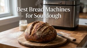 Best Bread Machines for Sourdough
