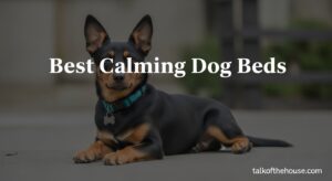 Best Calming Dog Beds