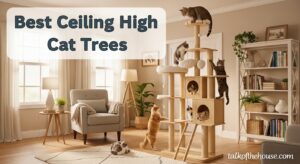 Best Ceiling High Cat Trees