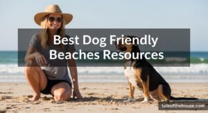 Best Dog Friendly Beaches Resources