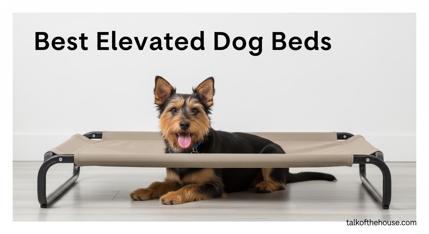 Best Elevated Dog Beds
