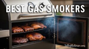 Best Gas Smokers