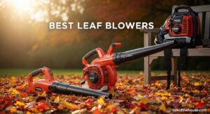 Best Leaf Blowers