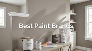 Best Paint Brands