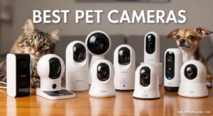 Best Pet Cameras